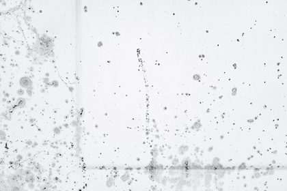Mouldy walls