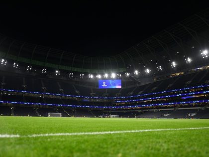 tottenham-stadium-pitch