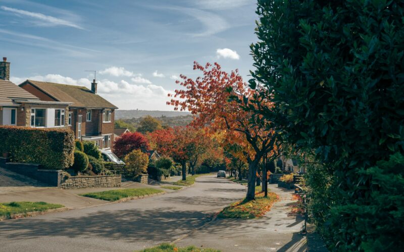 a street with trees and houses