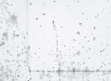 Mouldy walls